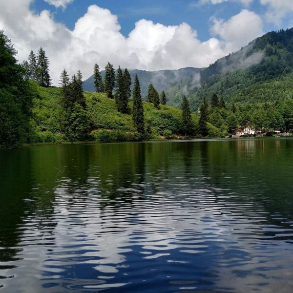 Karagöl Tabiat Parkı › Gezi Rehberi | Borçka | Artvin