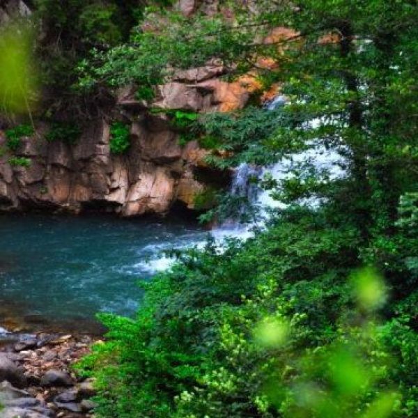 Otingo Kaplıcası › Gezi Rehberi | Borçka | Artvin