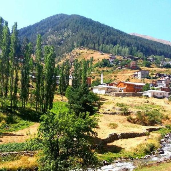 Yaylalar Köyü › Gezi Rehberi | Yusufeli | Artvin