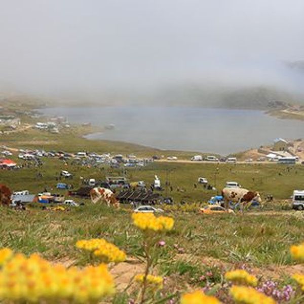 Aydıntepe Yaylası › Gezi Rehberi | Aydıntepe | Bayburt