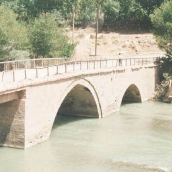 Selenk Köprüsü › Gezi Rehberi | Kiğı | Bingöl