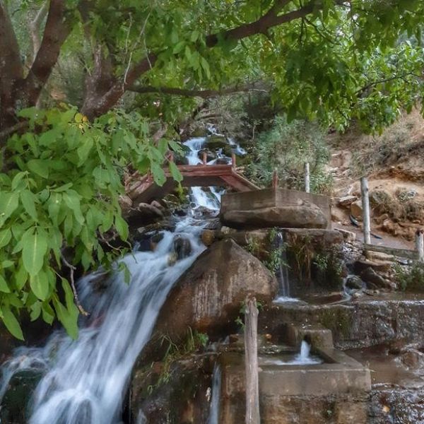 Beyazsu Mesire Alanı › Gezi Rehberi | Mutki | Bitlis