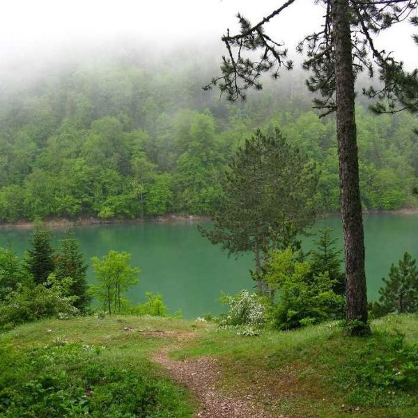 Sülüklü Göl Tabiat Parkı › Gezi Rehberi | Mudurnu | Bolu