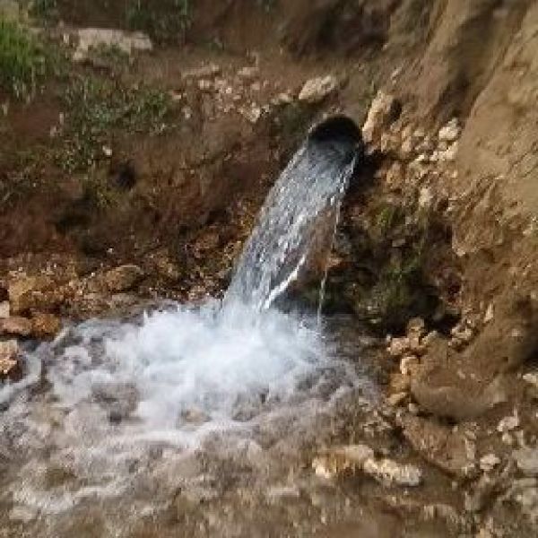 Koki Çayı Mesiresi › Gezi Rehberi | Hani | Diyarbakır