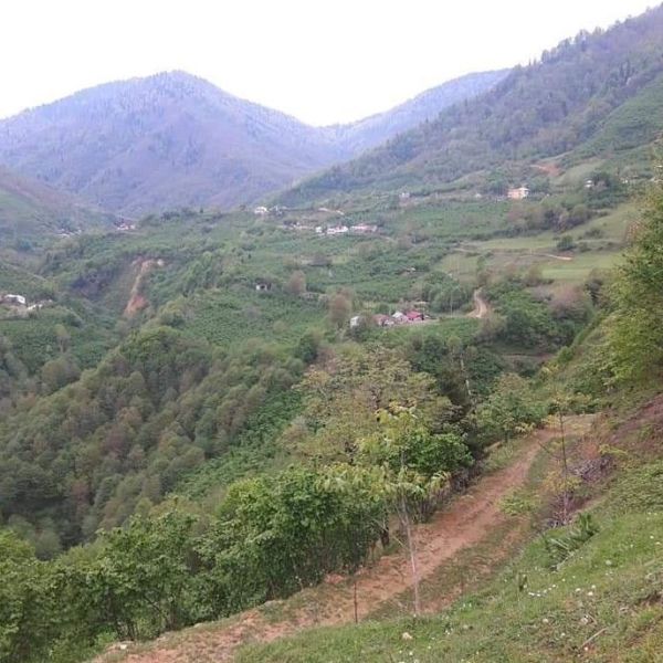 Çal Köyü Gizli Geçit › Gezi Rehberi | Dereli | Giresun