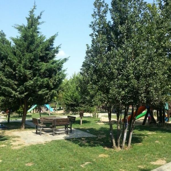 Bahçelievler Orman Korusu › Gezi Rehberi | Bahçelievler | İstanbul