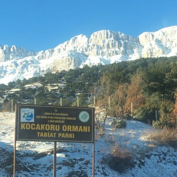 Kocakoru Tabiat Parkı › Gezi Rehberi | Seydişehir | Konya