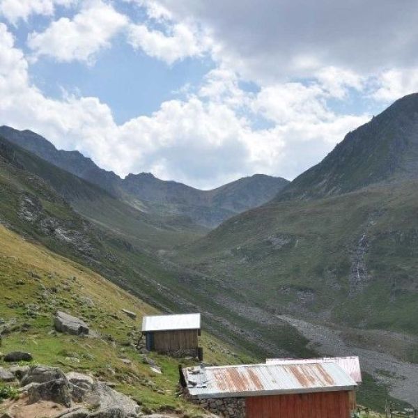 Çamlık Yaylası › Gezi Rehberi | Fındıklı | Rize