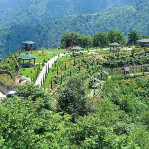 Kıble Dağı Mesire Alanı › Gezi Rehberi | Güneysu | Rize