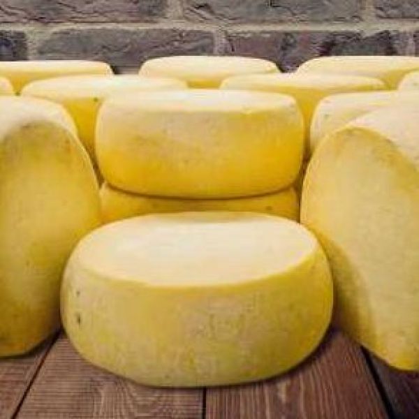 Tekirdağ Eski Kaşar Peyniri › Yöresel Ürünler | Malkara | Tekirdağ