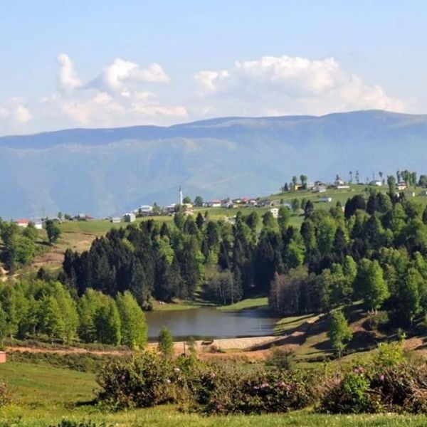 Hıdırnebi Yaylası › Gezi Rehberi | Akçaabat | Trabzon