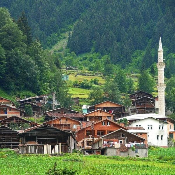 Şerah Köyü › Gezi Rehberi | Çaykara | Trabzon