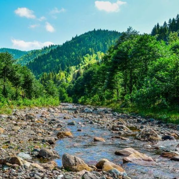 Fol Deresi › Gezi Rehberi | Vakfıkebir | Trabzon