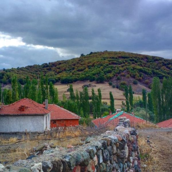 Çatak › Gezi Rehberi | Çayıralan | Yozgat