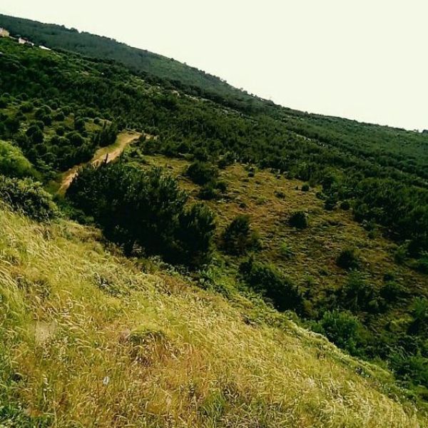 Velibaba Tepesi › Gezi Rehberi | Çaycuma | Zonguldak